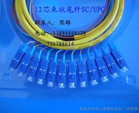 連接數(shù)字世界的橋梁 束狀尾纖、光纖跳線與皮線光纜